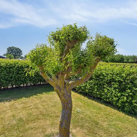 Inge - 300m From The Sea By Interhome Nyaraló